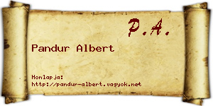 Pandur Albert névjegykártya